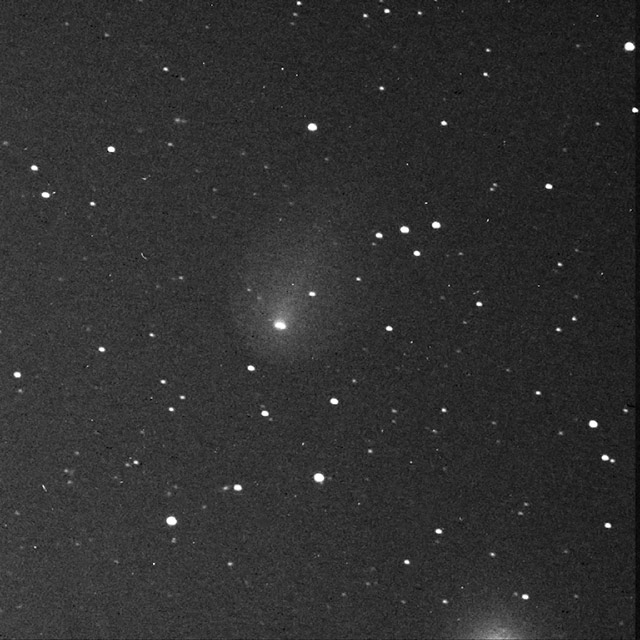 15cm望遠鏡で撮影した2013年11月8日のリニア彗星