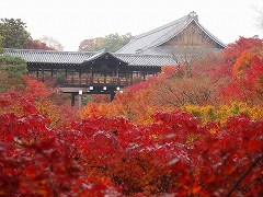 京都市　東福寺